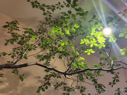 S__87793690_0