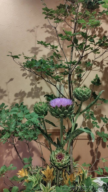S__87793695_0